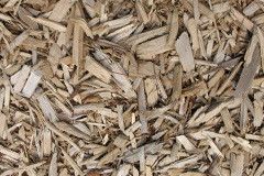 biomass boilers Arthog